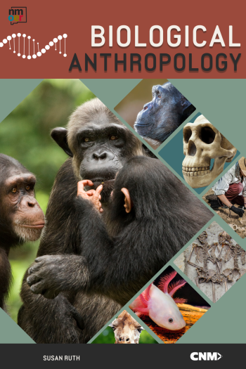 Biological Anthropology by CNM